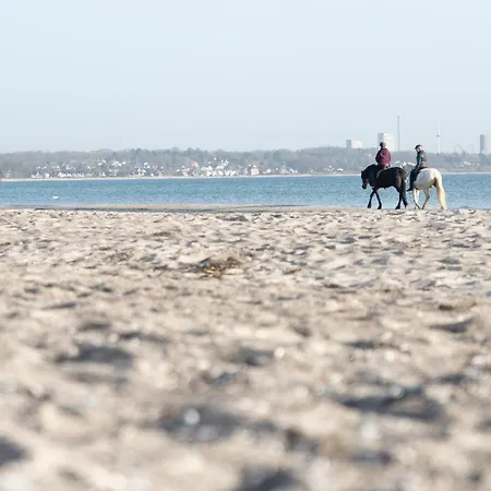 Wohnpark Am Muehlenteich - 24